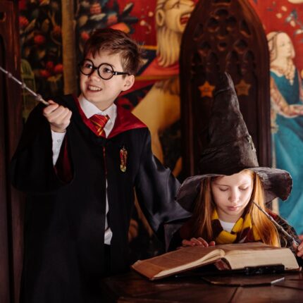 Harry Potter , Szkoła Magii i Czarodziejstwa